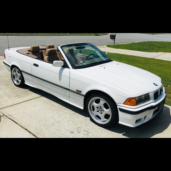 Meet your Posher, Daniel - Picture 1 of 1